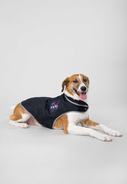 Mode & Accessoires Kleidung Tops Blusentops Alpha Industries Basic Dog Leash Hundeleine 